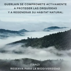 Online Orchidée Impériale la Espuma en Crema Luminosidad|Limpieza