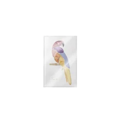 Parrot Sombra de Ojos Sombras