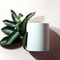 PETIT GRAIN DE SOLEIL CANDLE Velas