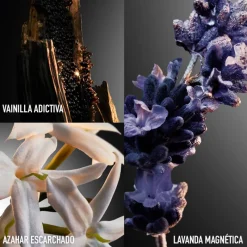 Best Phantom Intense Eau de Parfum Hombre Eau De Parfum Hombre|Eau De Parfum