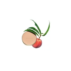 New POLVOS COMPACTOS Polvos