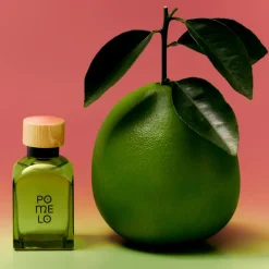 Sale Pomelo Eau de Toilette para Hombre Hombre Eau De Toilette Hombre|Eau De Toilette