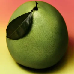 Sale Pomelo Eau de Toilette para Hombre Hombre Eau De Toilette Hombre|Eau De Toilette