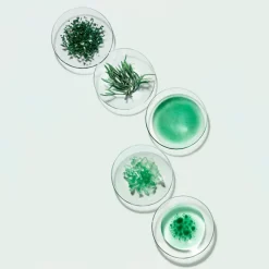 Best Powercell Skinmunity Esencia de Regeneración Intensa Vitamina A|Luminosidad