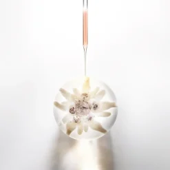 New PRODIGY CELL GLOW CONCENTRATE 100 ML Luminosidad|Hidratación