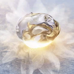 Prodigy Cellglow Oilixir Luminosidad|Arrugas