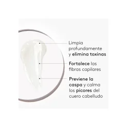 Sale Pure Champú Shampoo