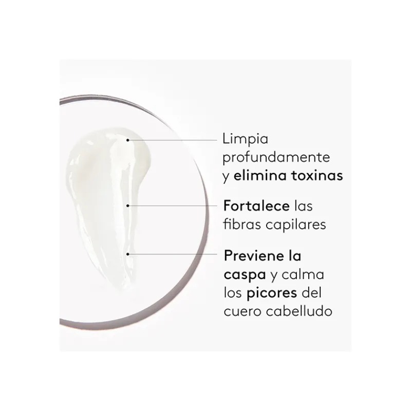 Sale Pure Champú Shampoo