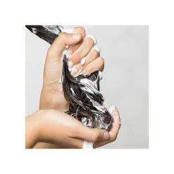 Sale Pure Champú Shampoo