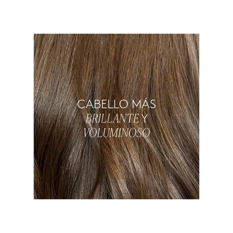 Sale Pure Champú Shampoo