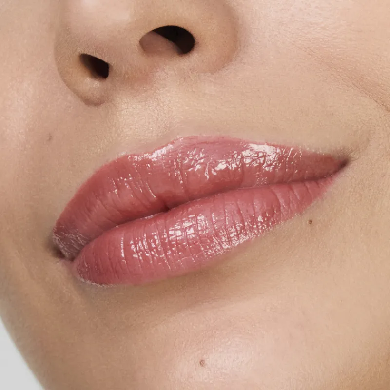 New Pure Color Melt-On Glosstick Lip Gloss