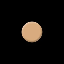 Hot REAL CONCEAL HONEY 40 Antiojeras Y Corrector