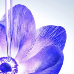 New RENERGIE MULTI LIFT ULTRA CRÈME 50ML Karité|Miscelas