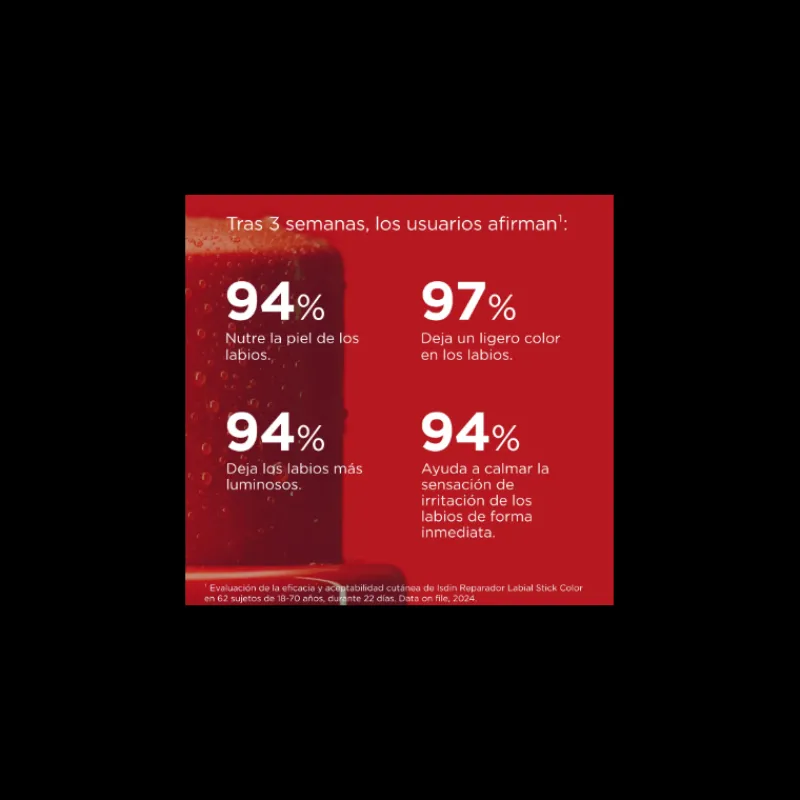 Clearance Reparador Labial Stick Granate Facial