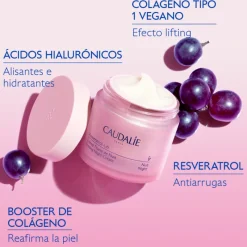 Online RESVERATROL-LIFT CREMA TISANA DE NOCHE RECARGA Facial