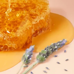 Sale RÊVE DE MIEL® BÁLSAMO LABIAL ULTRA HIDRATANTE 15ML Facial