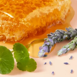 Clearance RÊVE DE MIEL CICA CRÈME MAINS RICHE Corporal