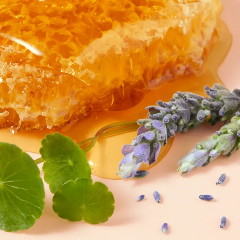 Clearance RÊVE DE MIEL CICA CRÈME MAINS RICHE Corporal