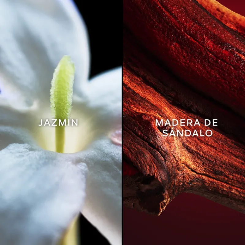 Discount SAMSARA EAU DE TOILETTE 75ML Mujer Eau De Toilette Mujer