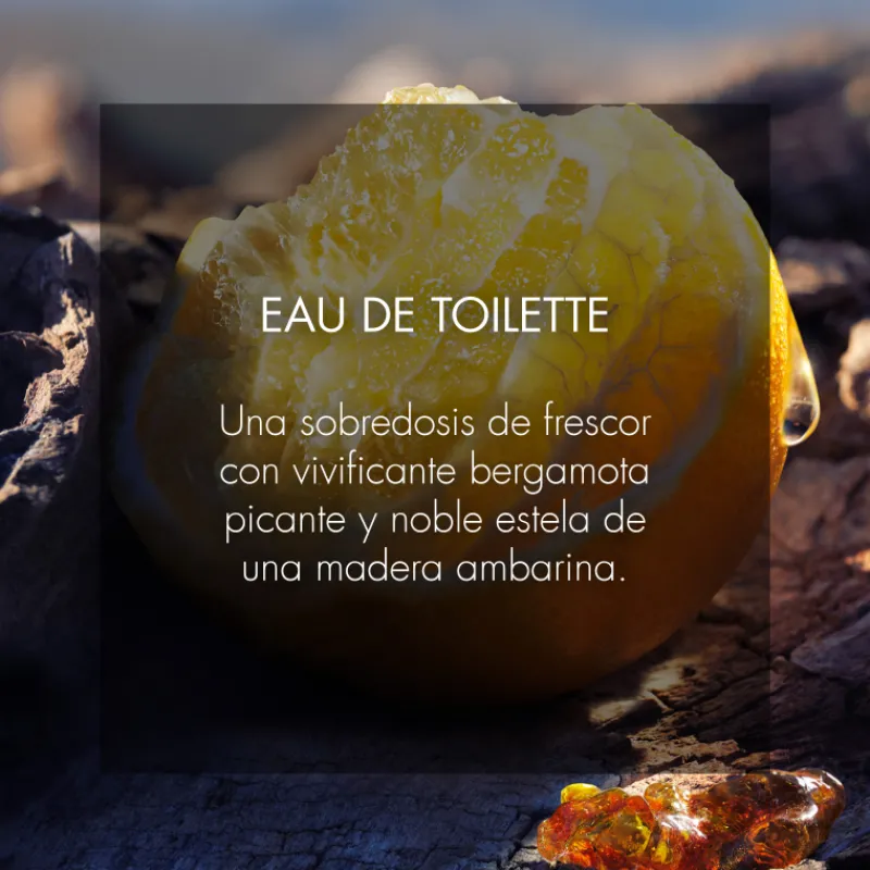 New SAUVAGEEau de Toilette Hombre Eau De Toilette Hombre|Eau De Toilette