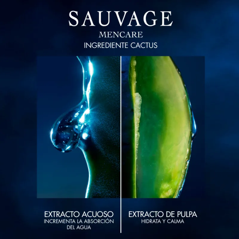 Outlet SAUVAGELoción facial tonificante con extracto de cactus Hombre Luminosidad|Tratamiento Facial