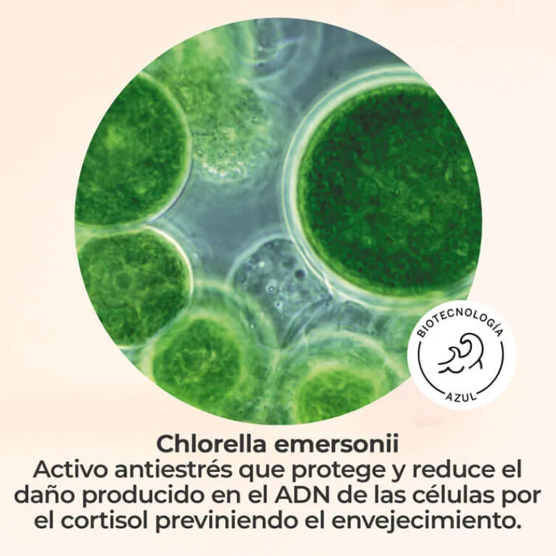 Hot VITAL C FACIAL SERUM Facial