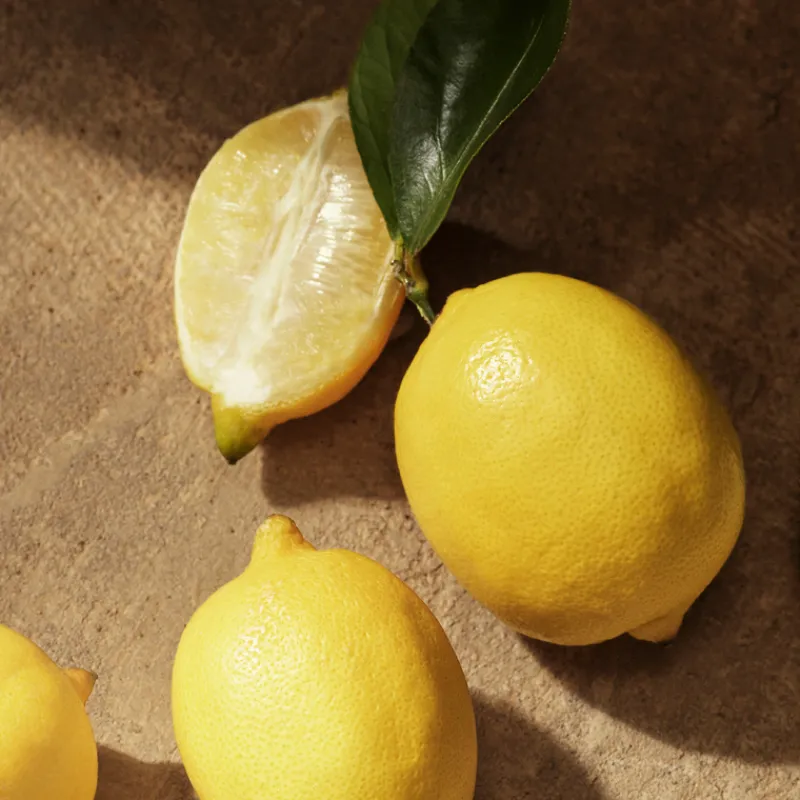 New Set Devotion Male Eau de Parfum Hombre Estuches Y Gift Sets