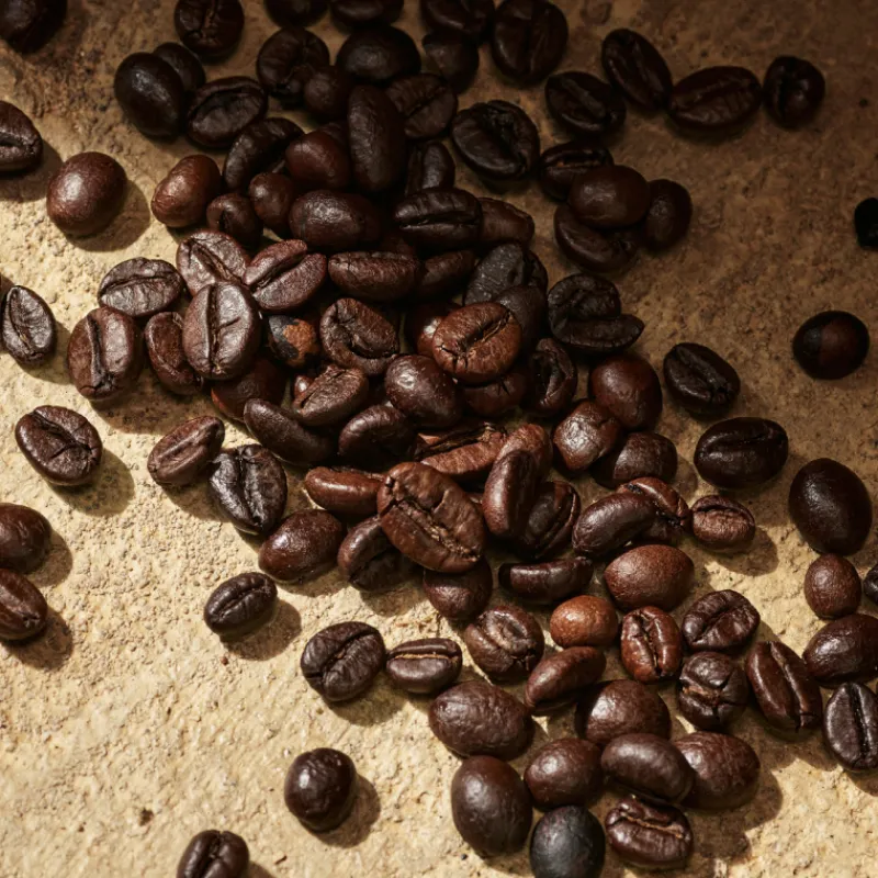 New Set Devotion Male Eau de Parfum Hombre Estuches Y Gift Sets