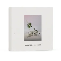 Sale SET EDP JAZMÍN TONKA Mujer Estuches Y Gift Sets