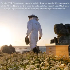 Clearance Set Ritual Antiedad Honey Treatment Crema de Noche Luminosidad|Arrugas