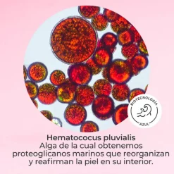 Hot SET DMAE LIFT 10 Estuches|Facial