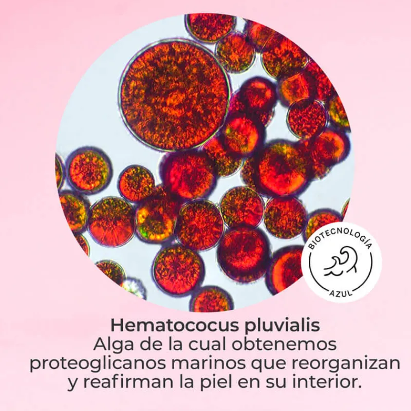 Hot SET DMAE LIFT 10 Estuches|Facial