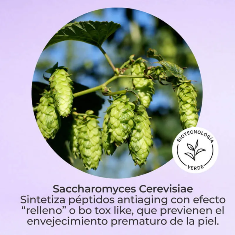 Hot SET RESTAURA Estuches|Facial