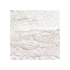 Clearance Shine Your Day! Shimmery Powder Polvos