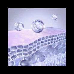 New Sérum Intensive Hyaluronic+ Facial