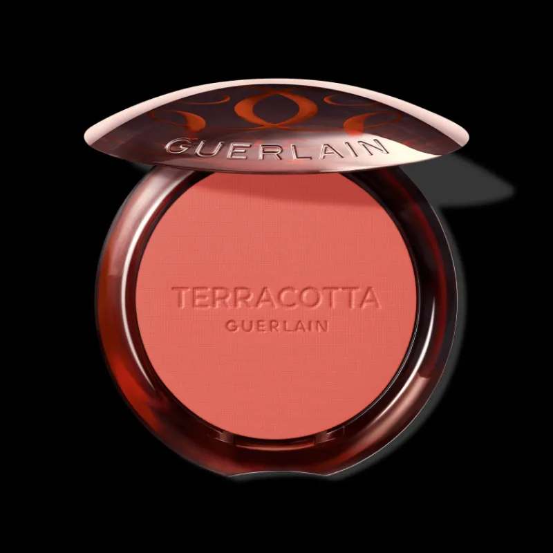 New TERRACOTTA BLUSH Blush
