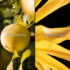 Clearance Terracotta Eau de Toilette Mujer Eau De Toilette Mujer