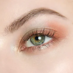 Discount Edición Limitada Sombras