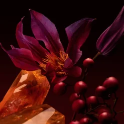 Online The Scent Elixir Parfum Intense para Mujer Mujer Eau De Parfum Mujer