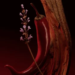 Sale The Scent Elixir Parfum Intense para Hombre Hombre Eau De Parfum Hombre|Eau De Parfum