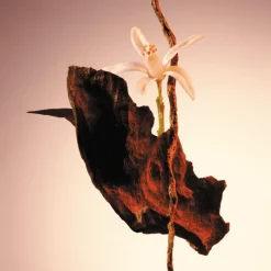 Discount The Scent Parfum para Mujer Mujer Eau De Parfum Mujer