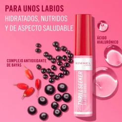 Online Thrill Seeker Glassy Gloss Lip Gloss