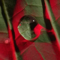 Clearance Total Eye Lift Arrugas|Anti-Aging Global