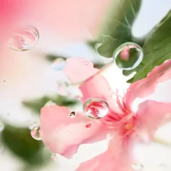 Clearance Ôver The Top Eau de Toilette Mujer Eau De Toilette Mujer