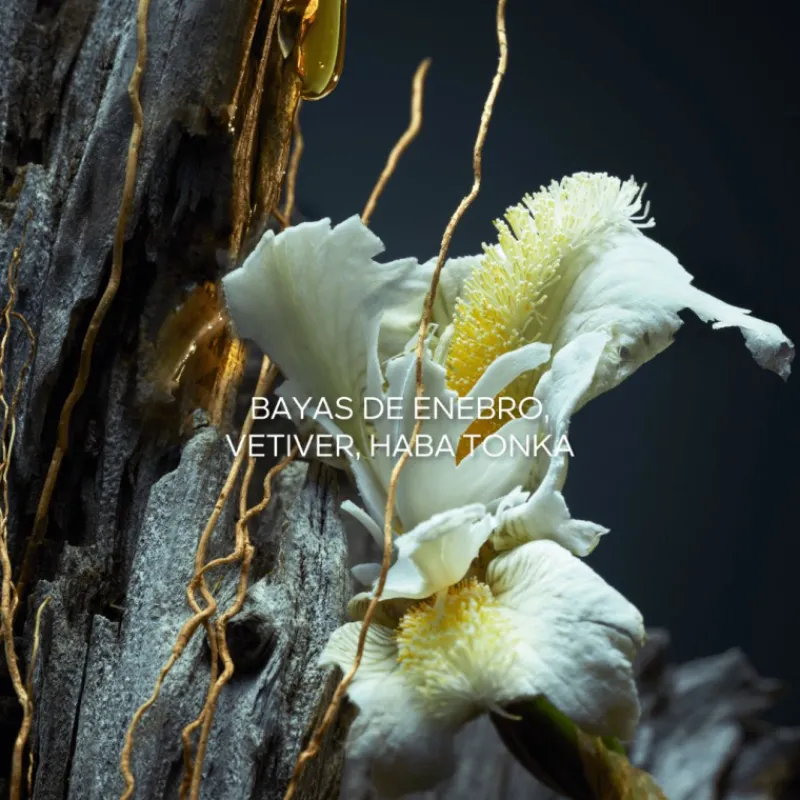 Best VETIVER LE PARFUM EAU DE PARFUM VAPORIZADOR Hombre Eau De Parfum Hombre|Eau De Parfum