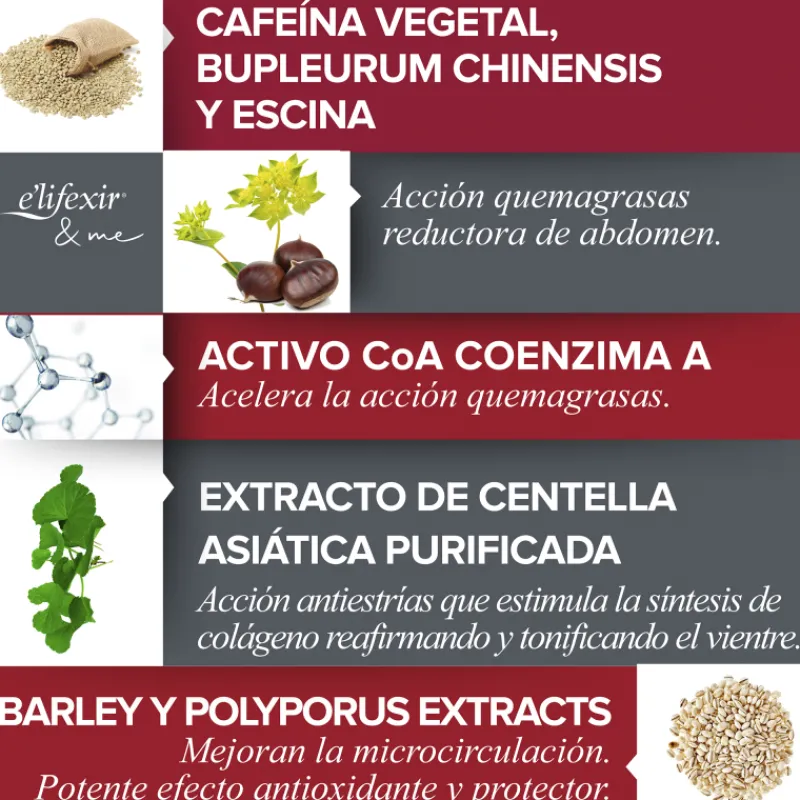 New Vientre Plano Crema Reductora Abdomen Reafimente Quemagrasas Corporal