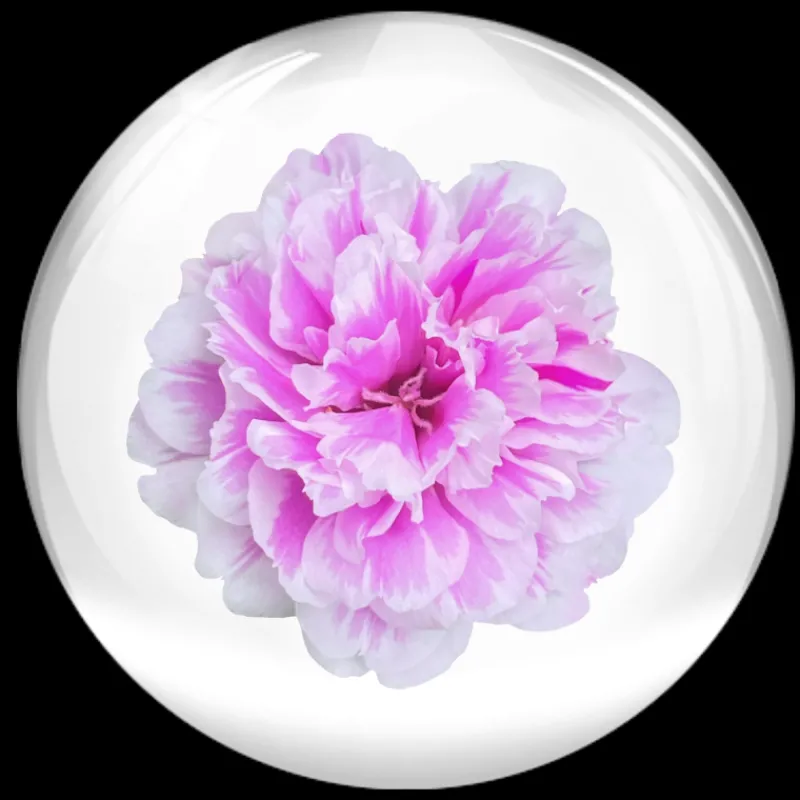 Vital 24 Hour Light Luminosidad|Anti-Aging Global