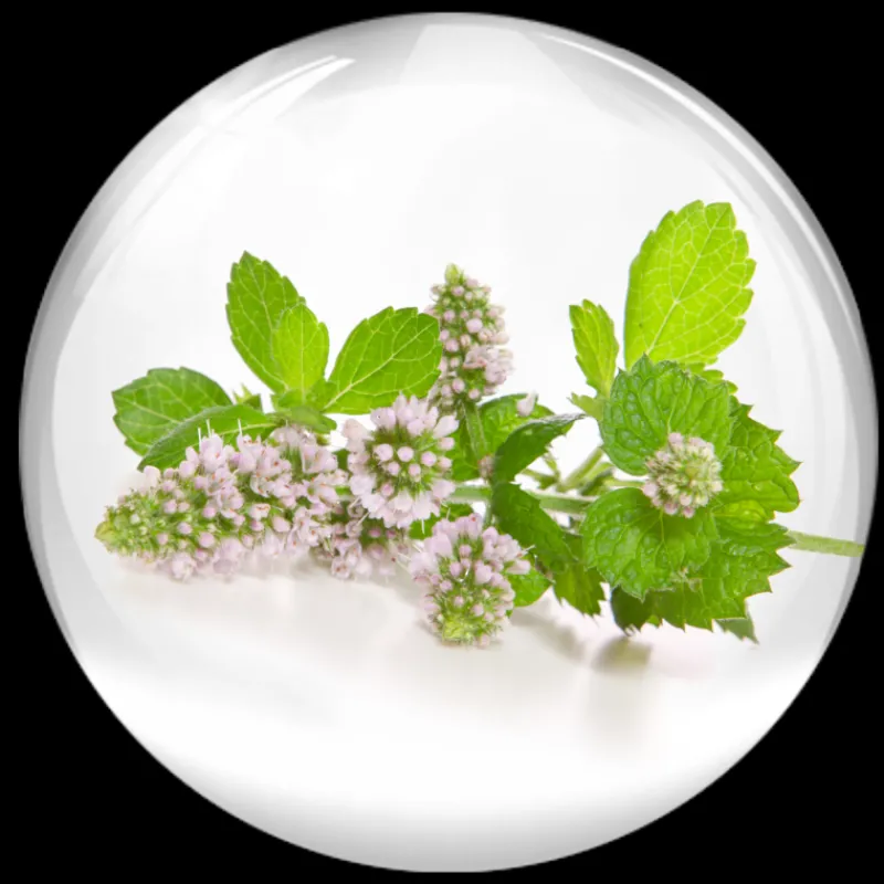 Hot Vital B. Fluid Luminosidad|Tratamiento Facial