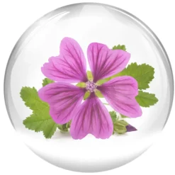 Discount Vital B. Serum Luminosidad|Tratamiento