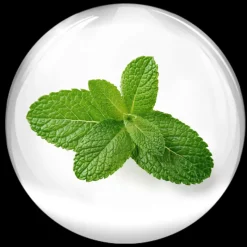 Outlet Vital Contour Cream Arrugas|Contorno De Ojos